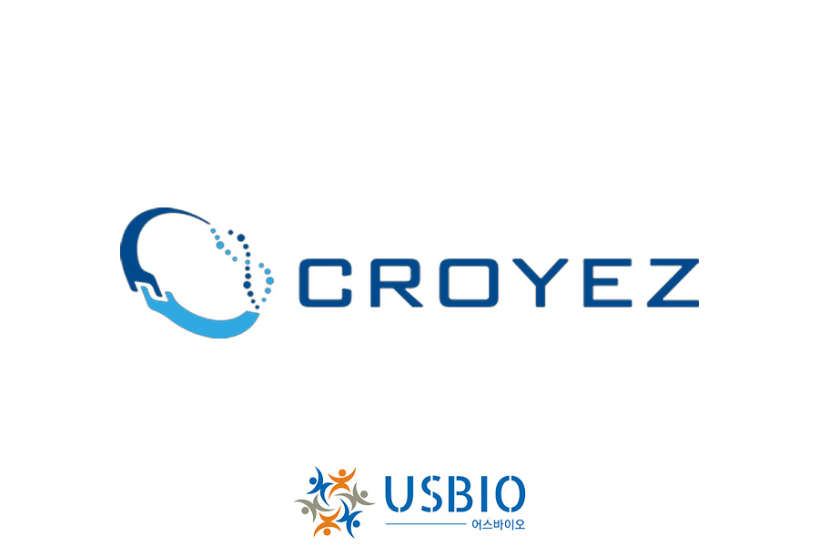 [Croyez Bioscience] Ultra High Range RNA Ladder