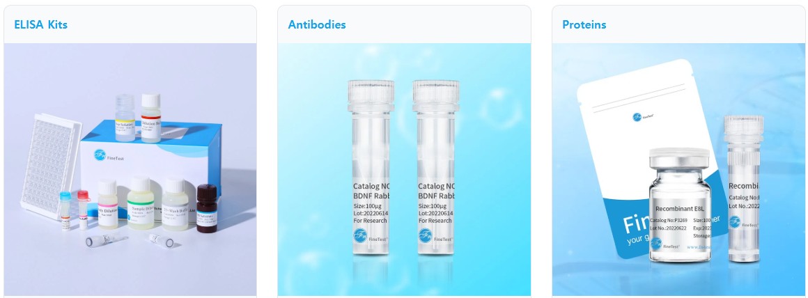 Finetest를 대표하는 이미지