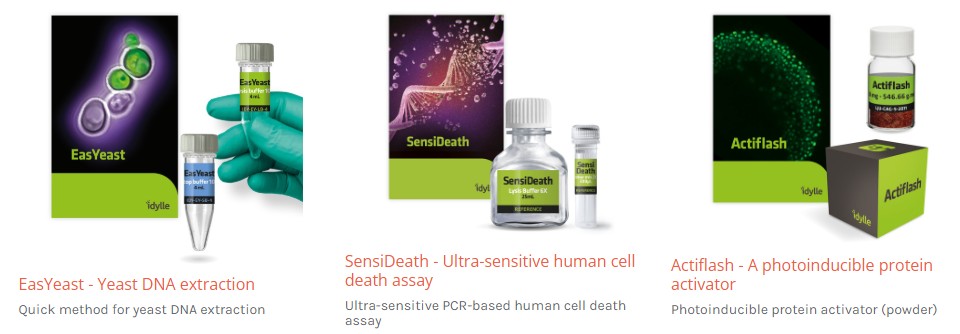 IDYLLE를 대표하는 이미지