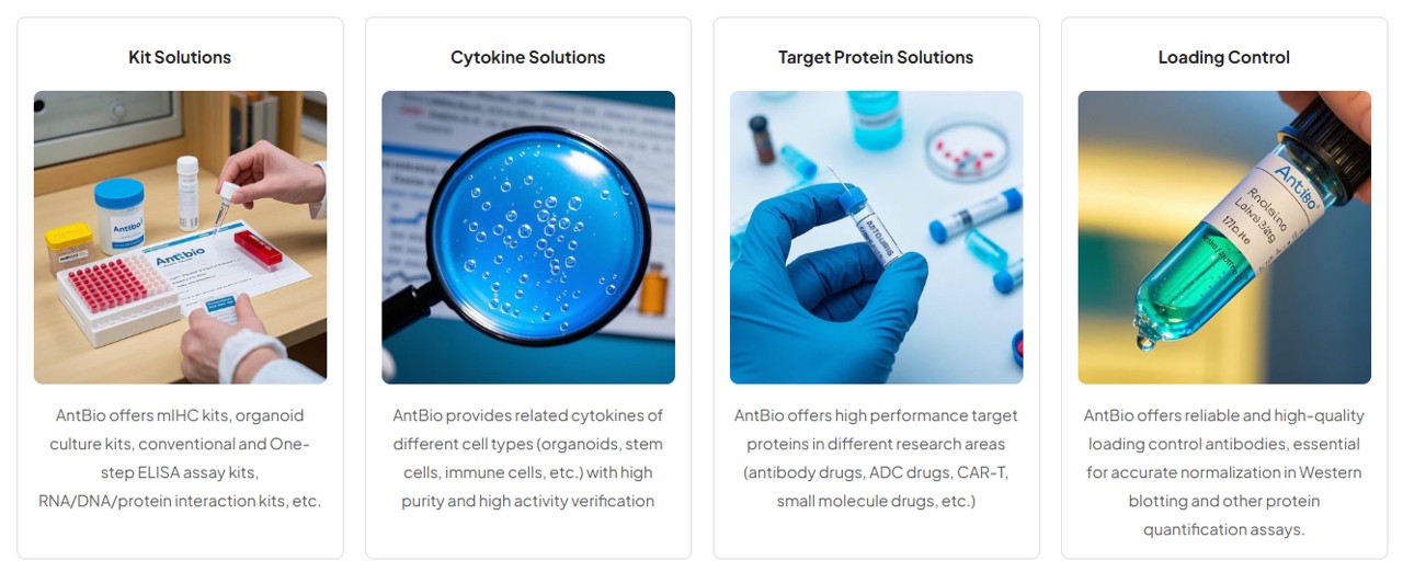 AntBio를 대표하는 이미지