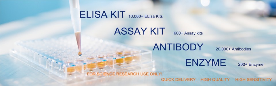 SUNLONG BIOTECH를 대표하는 이미지