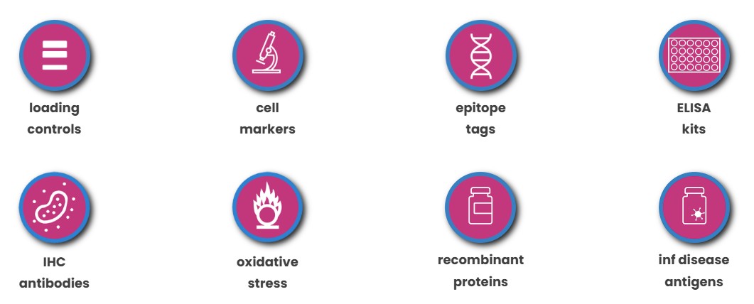 benchmark antibodies를 대표하는 이미지