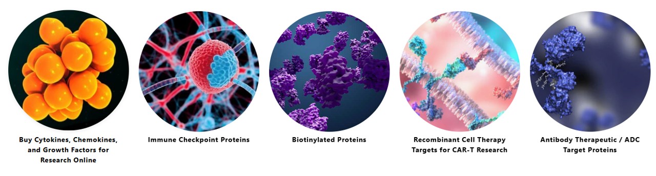 Beta Lifescience를 대표하는 이미지