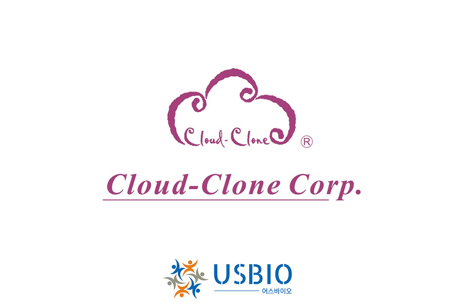 [Vendor 소개] Cloud-Clone