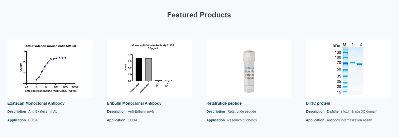 NovoPro를 대표하는 이미지