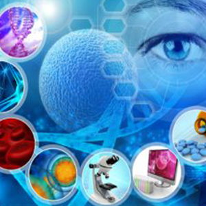 USBIO 전문수입및통관 INCELL Hot Item 1