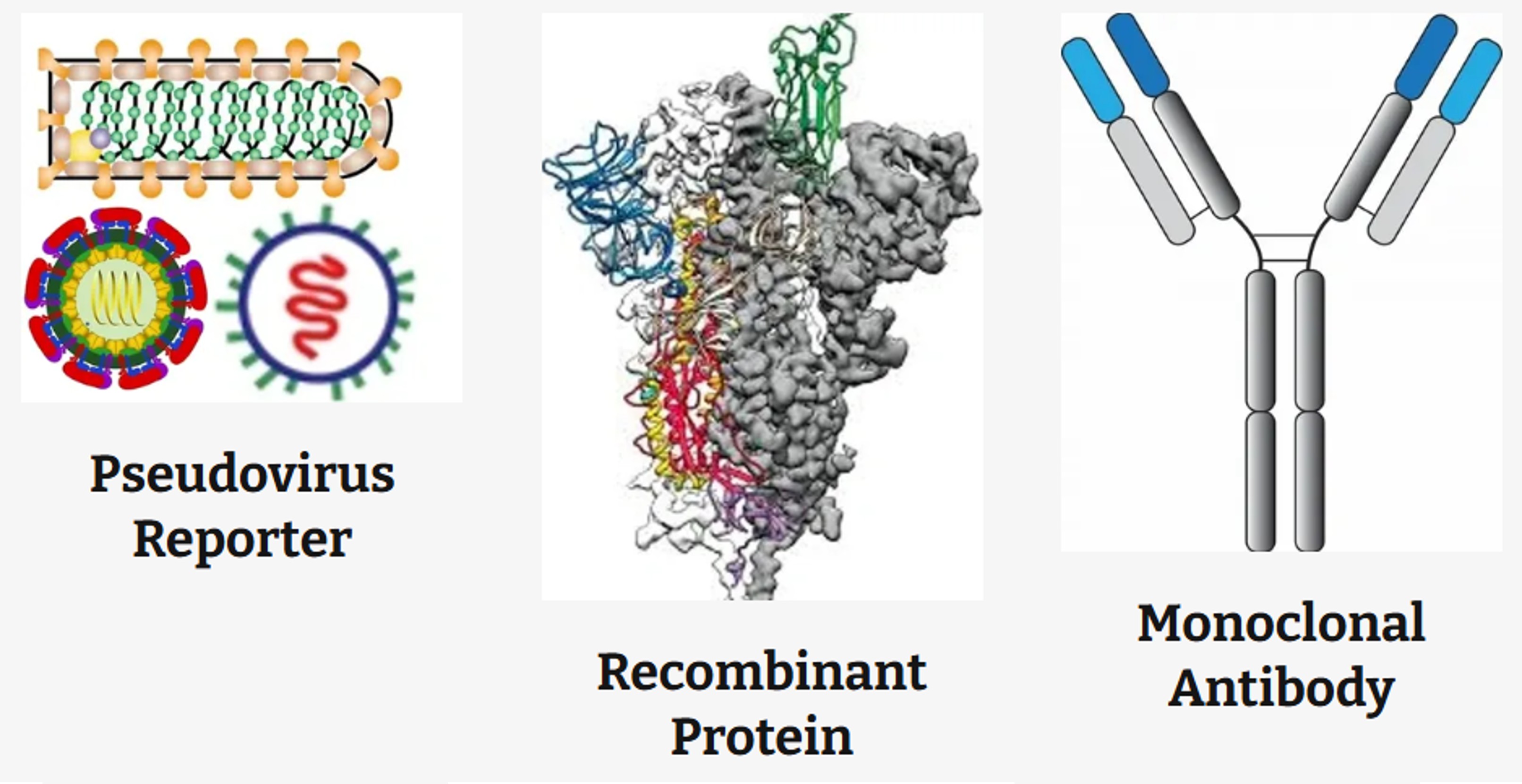 Revacc Scientific를 대표하는 이미지