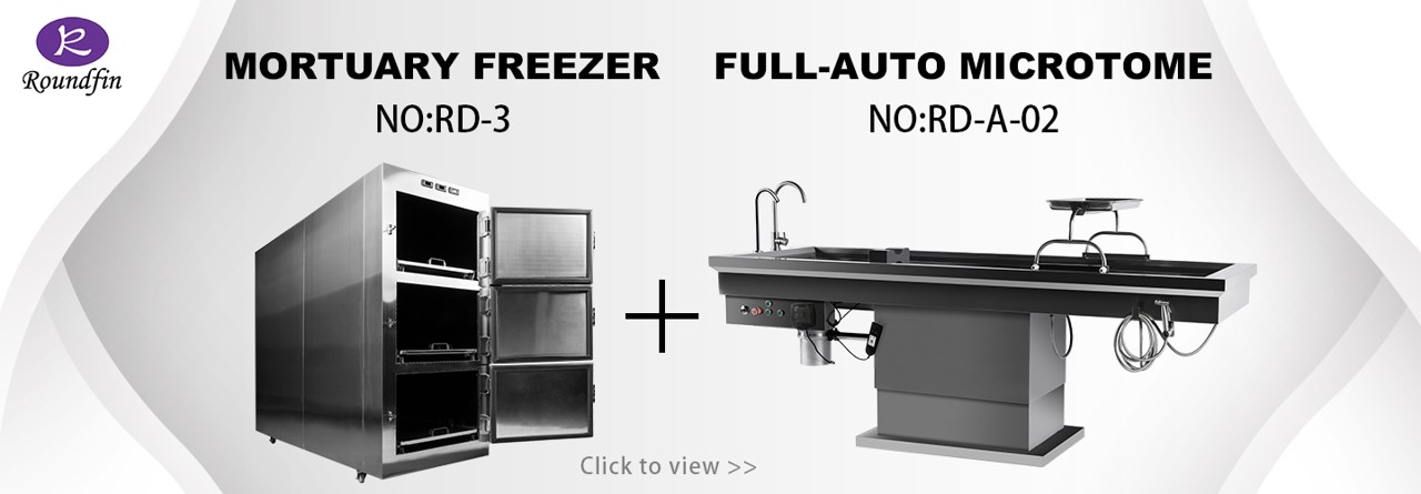 Roundfin를 대표하는 이미지