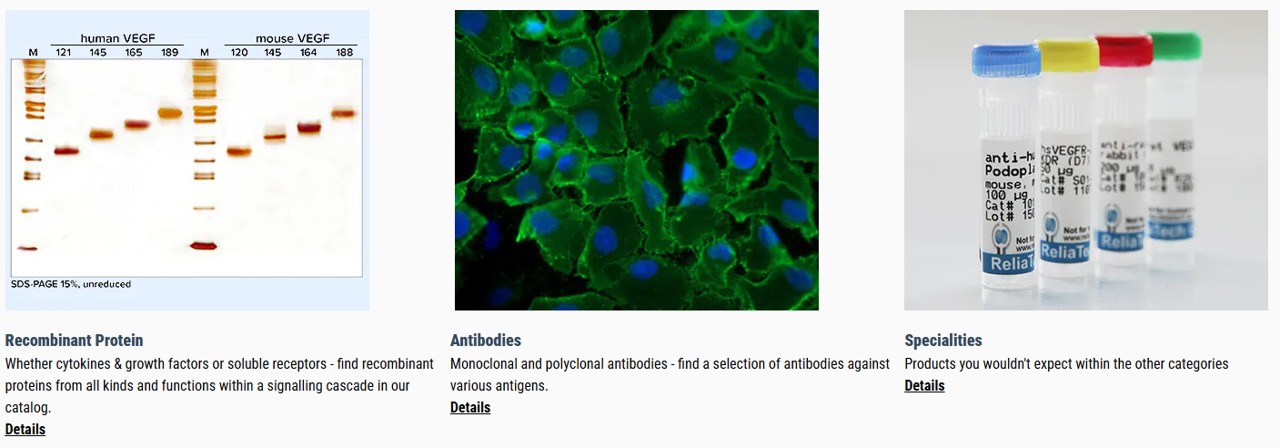 ReliaTech GmbH를 대표하는 이미지