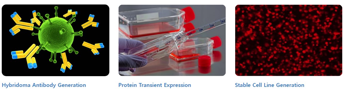 Accurus Biosciences를 대표하는 이미지
