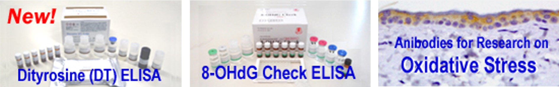 JaICA를 대표하는 이미지