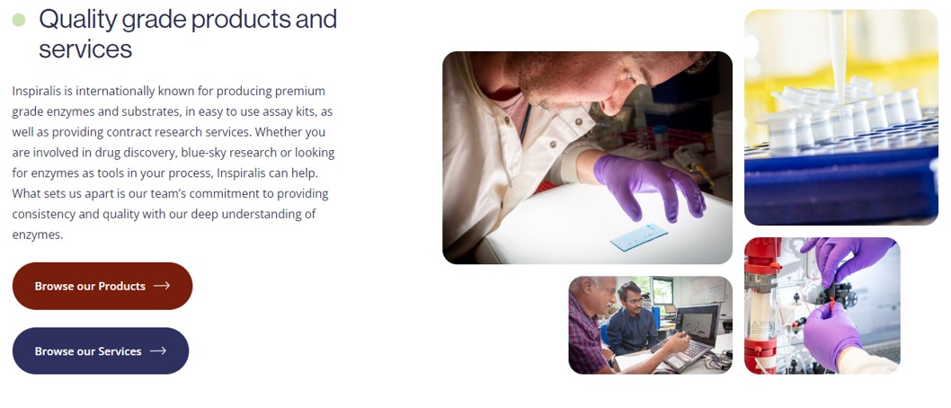 Inspiralis를 대표하는 이미지