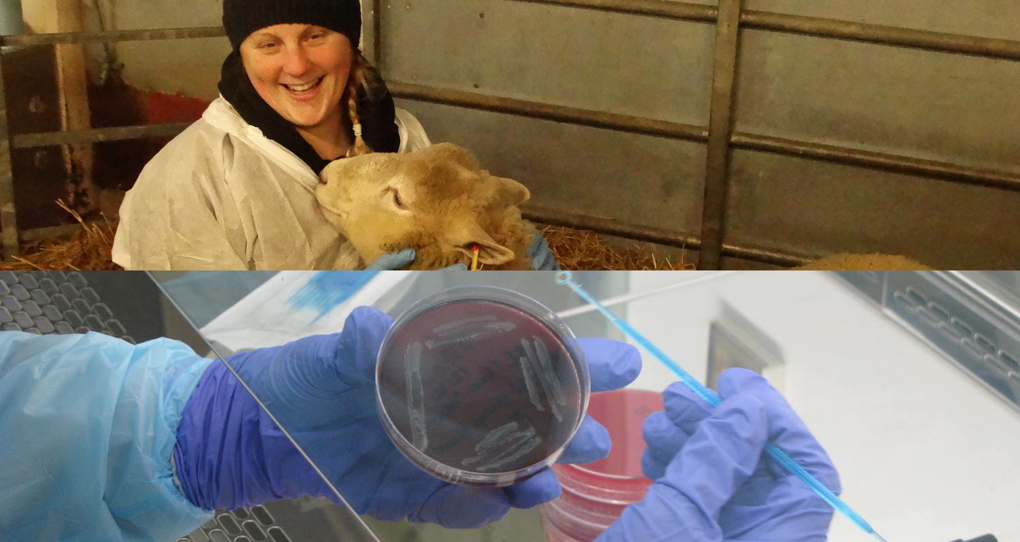 Ridgeway Research를 대표하는 이미지